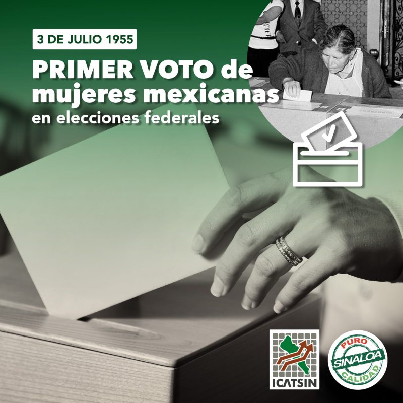 3-julio-voto